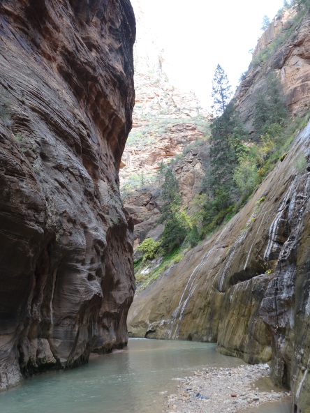 The Narrows, Zion NP 2